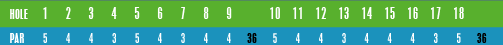Hole Numbers